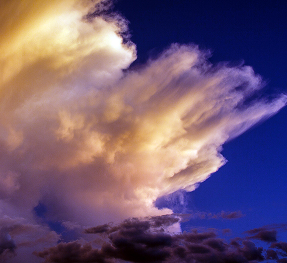 학생들은 토종 식물 종, 거북이, 수조류의 서식지를 제공하기 위해 부유하는 섬 두 개를 설치했다. (사진 제공: 그레그 고든)